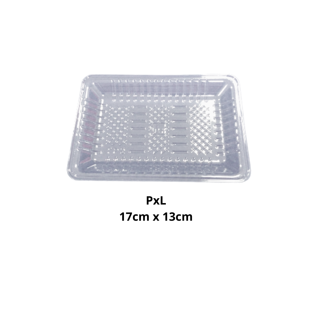 009 Tray TP 4